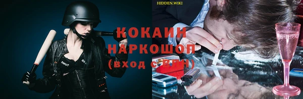 винт Няндома